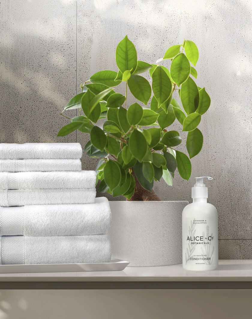 Alice + Co Conditioner thumbnail number 1